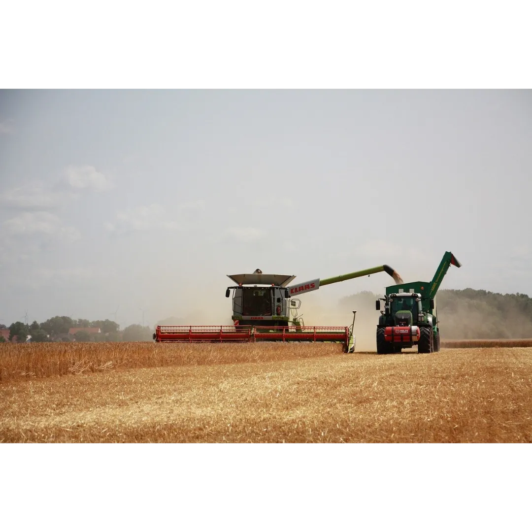 harvest-8192037_1280